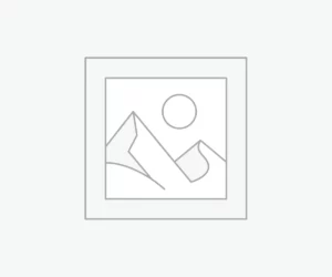 Uncategorized